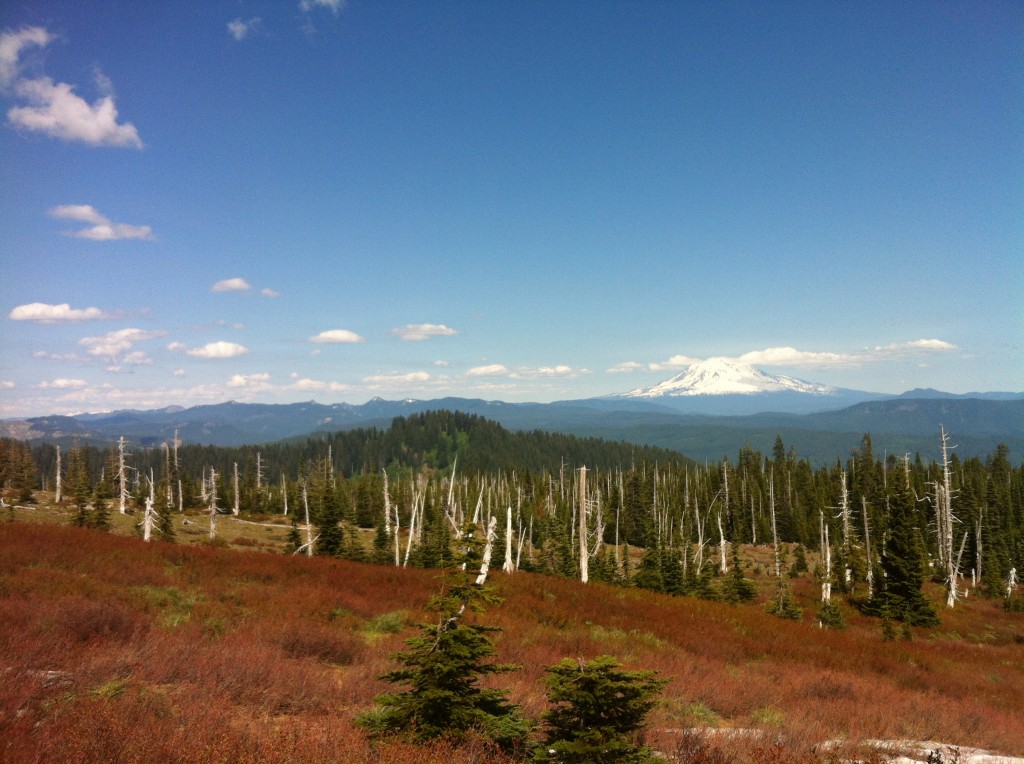 Mt. Adam from Saint Helens